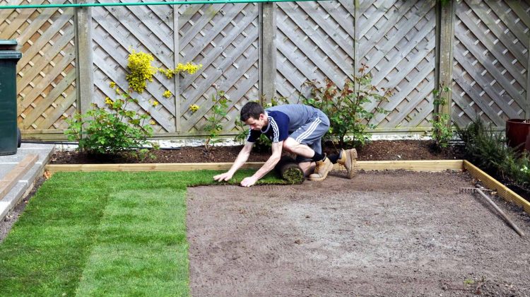 how to lay turf easily