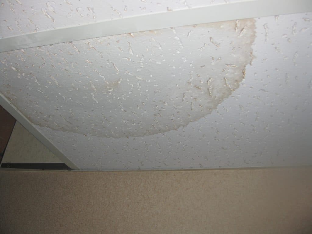 Removing Mold on Ceiling 1024x768