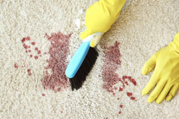 remove blood stain on carpet