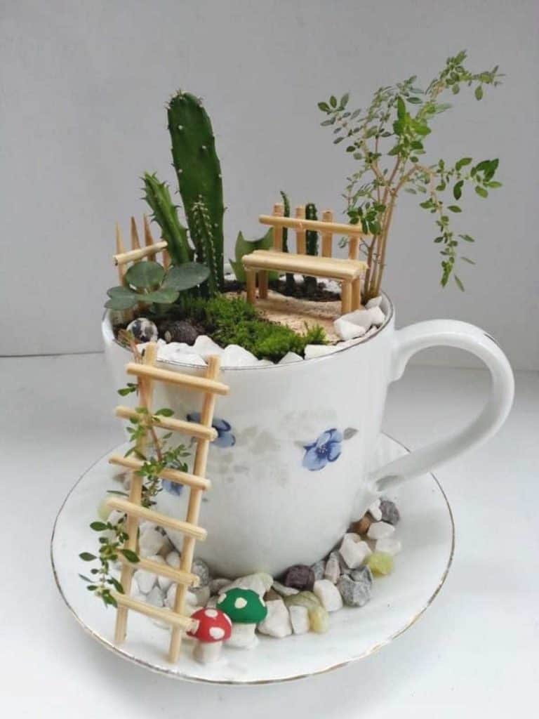 Fairy Garden in a Cup