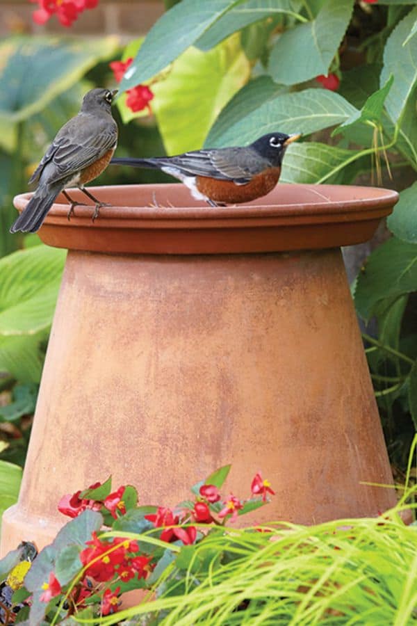 DIY Flower Pot Bird Bath