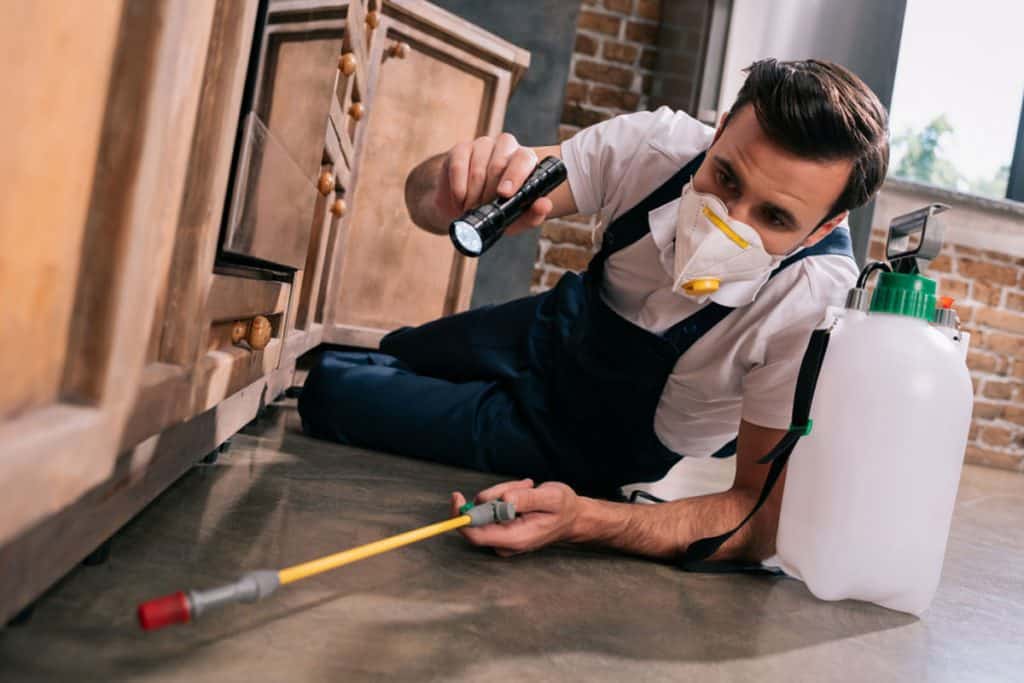 Factors That Affects The Cost Of Pest Control Services