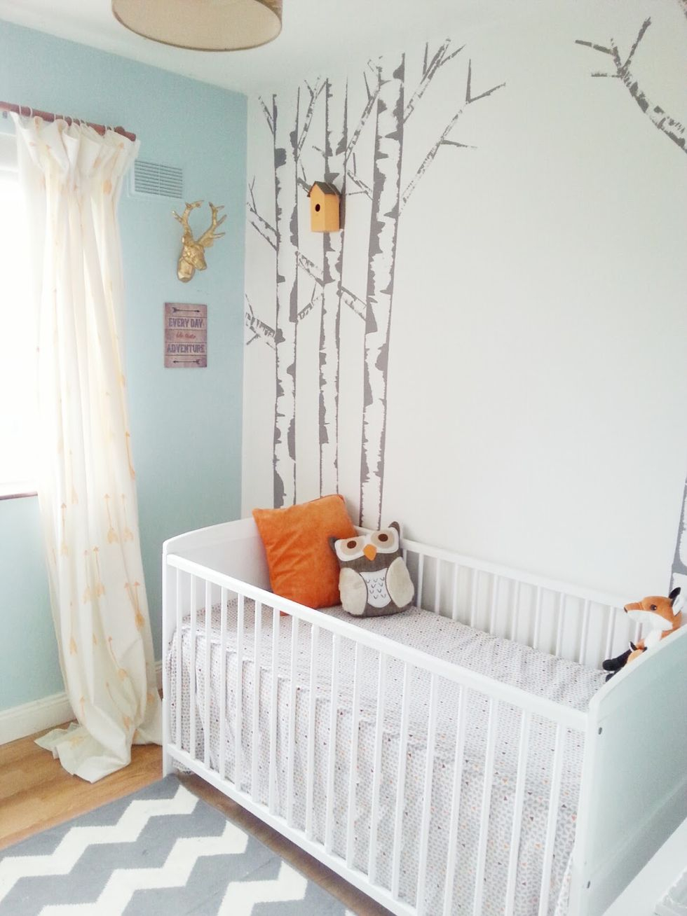 Forest Themed Baby Girl Room 