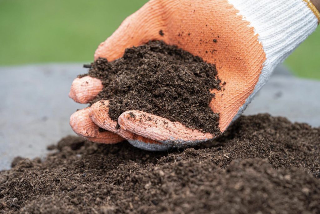 How to Use Peat Moss