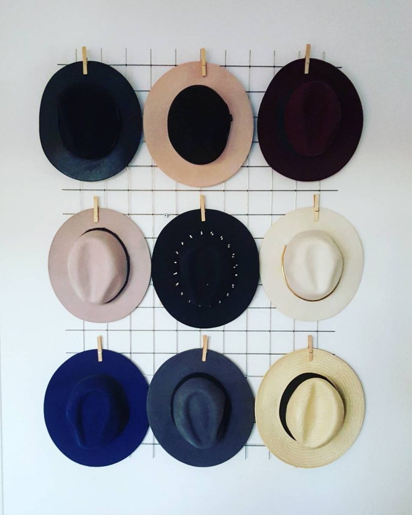 Wire Hat Organizer (with Laundry Clips)
