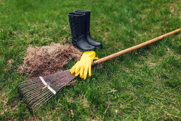 Benefits Of Weed Treatment And Lawn Dethatching Services