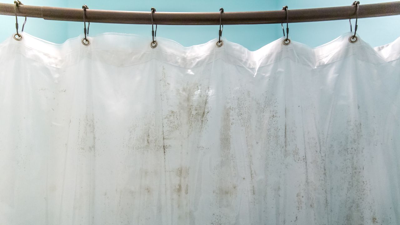 How to Clean Moldy Shower Curtains Correctly