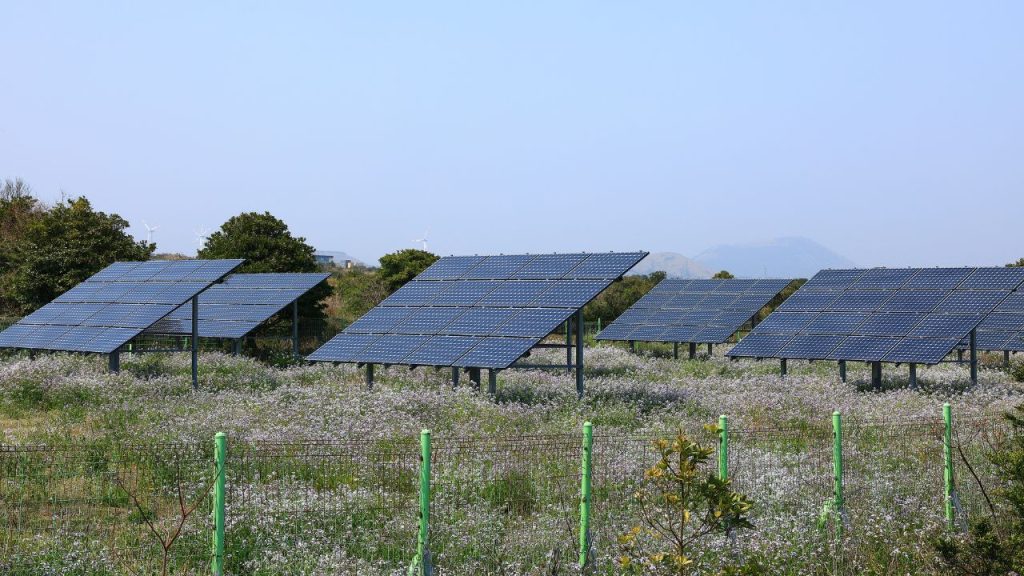 Challenges of Implementing Solar Energy Projects in Rural Communities