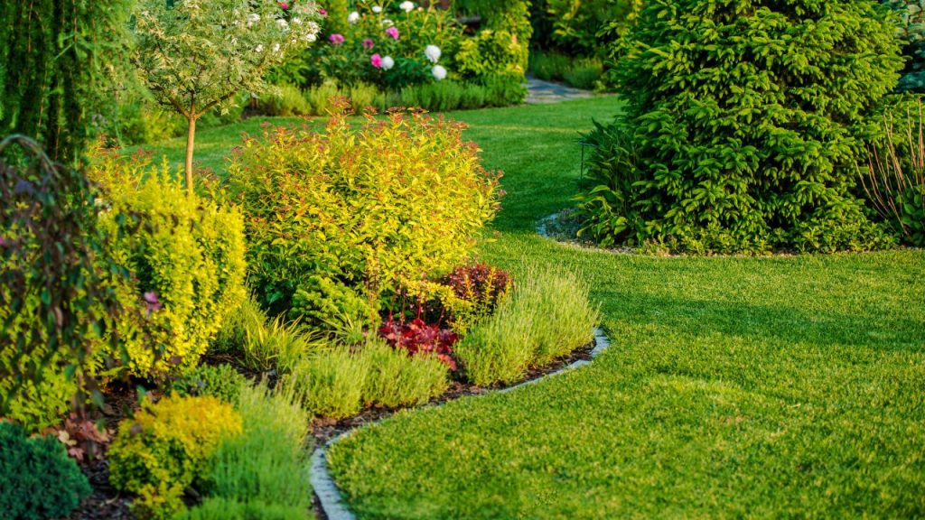 Optimize Your Landscaping