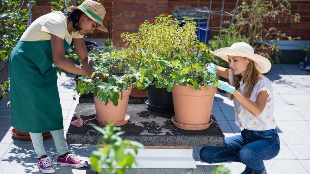 Preparing Your Space for Urban Gardening