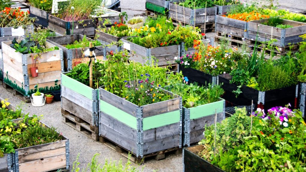 Selecting the Perfect Space for urban gardening