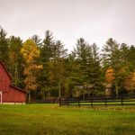 turn your empty farm lot into a thriving and profitable venture