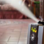 Best Heater-Humidifiers Combo (2023 Reviews)