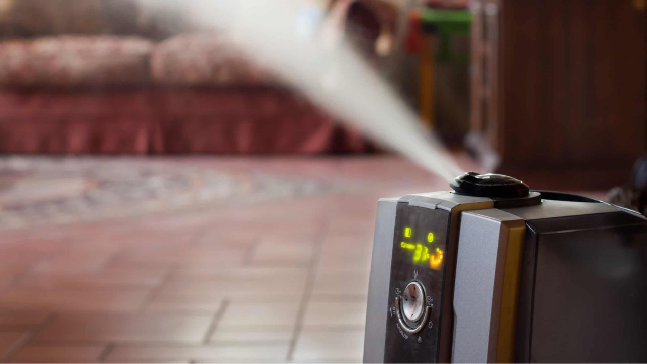 Best Heater-Humidifiers Combo (2023 Reviews)