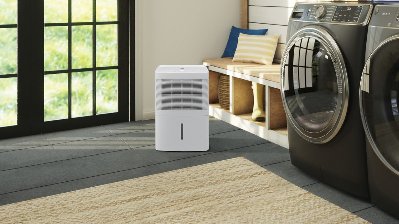 Best Rated 30 Pint Dehumidifier