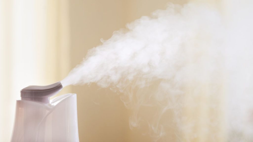 Causes of Humidifier Spitting Out Water