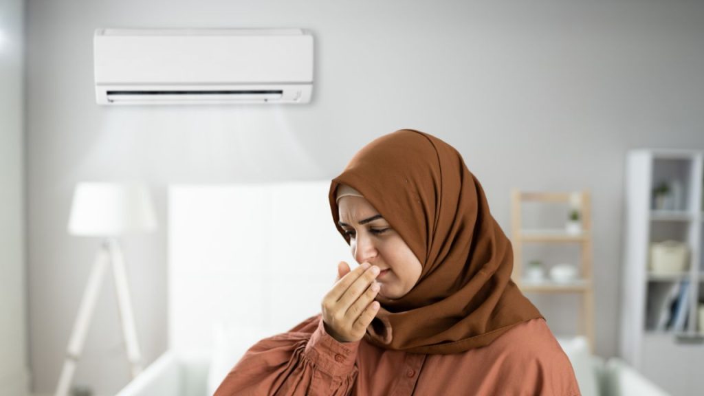 Common Causes of Pee Smell in Air Conditioners
