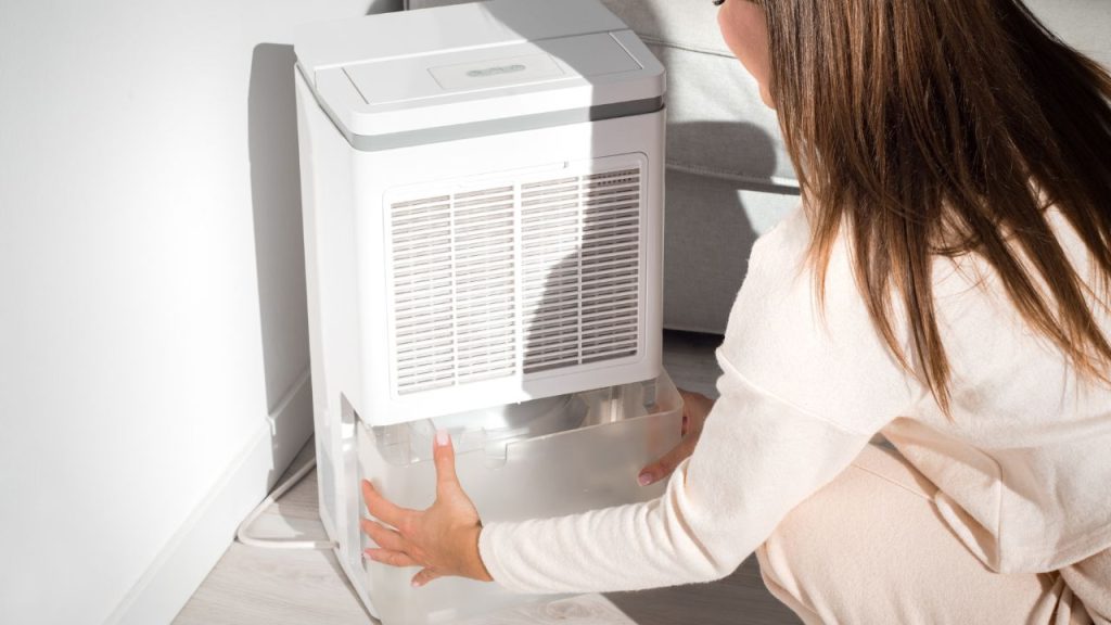 Dehumidifiers can help manage pests
