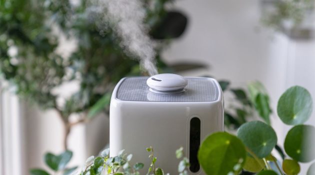 Humidifier Placement for Plants