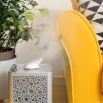 Humidifier Spitting Out Water? Quick Fixes and Tips