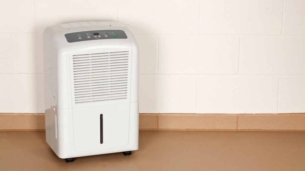 Regularly inspect and clean your dehumidifier's drains