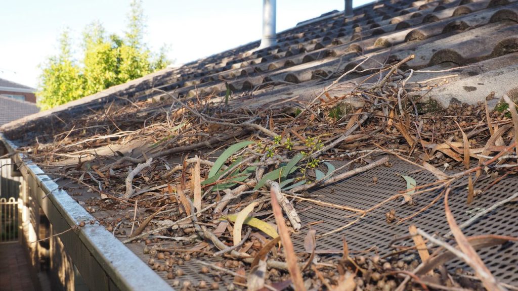 Remove debris from the roof surface