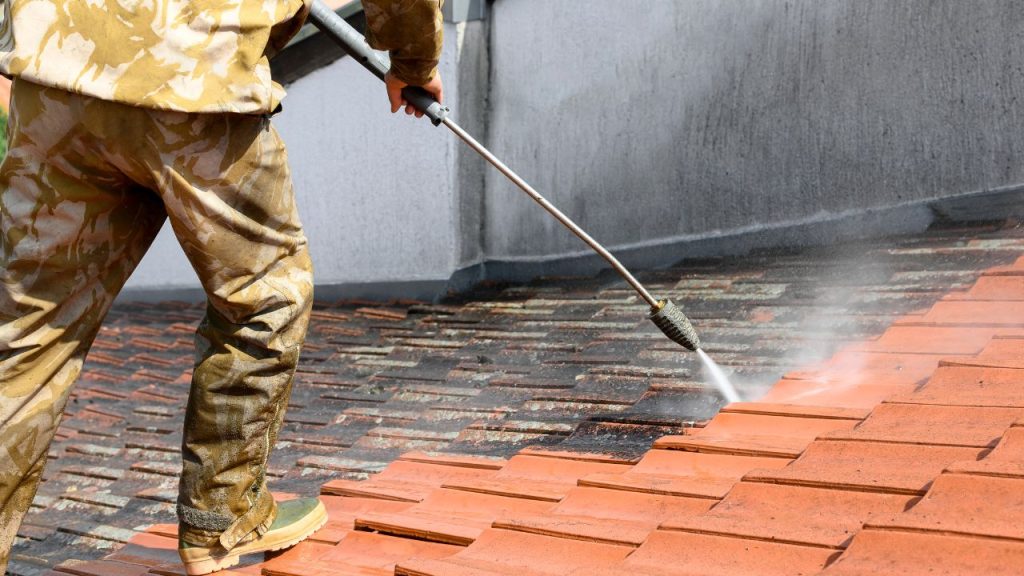 Roof Cleaning and Maintenance
