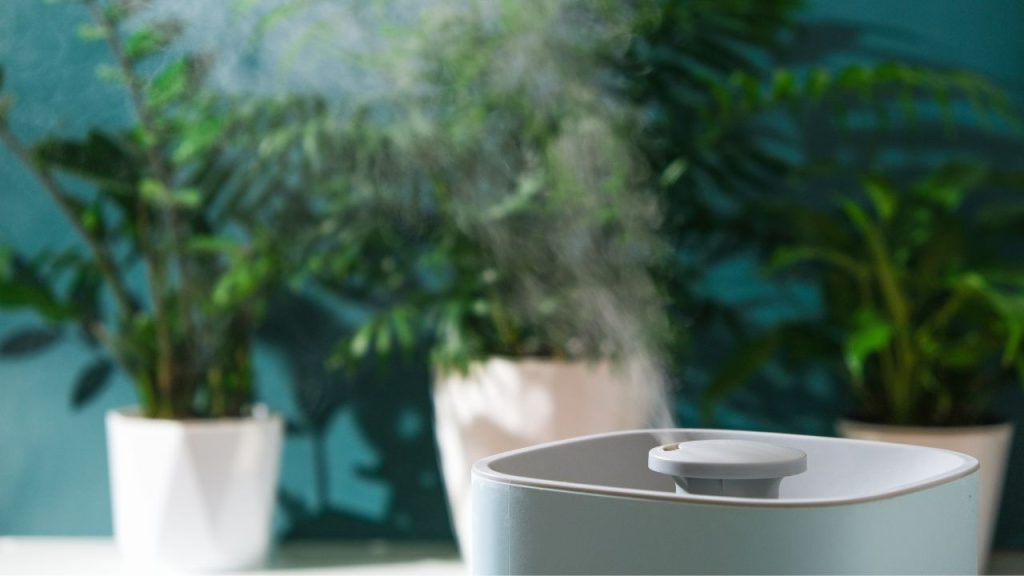 Safety Considerations for Humidifier Placement