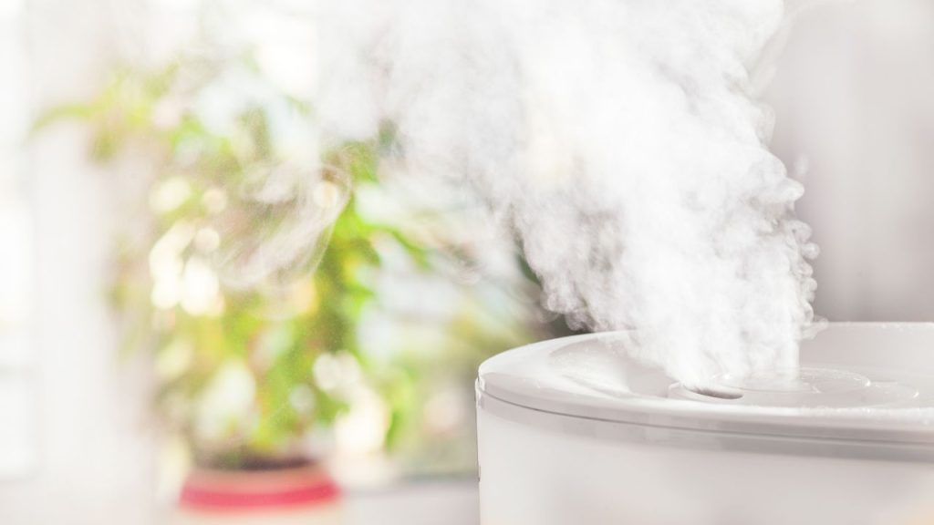 Types of Humidifiers and Salt Compatibility