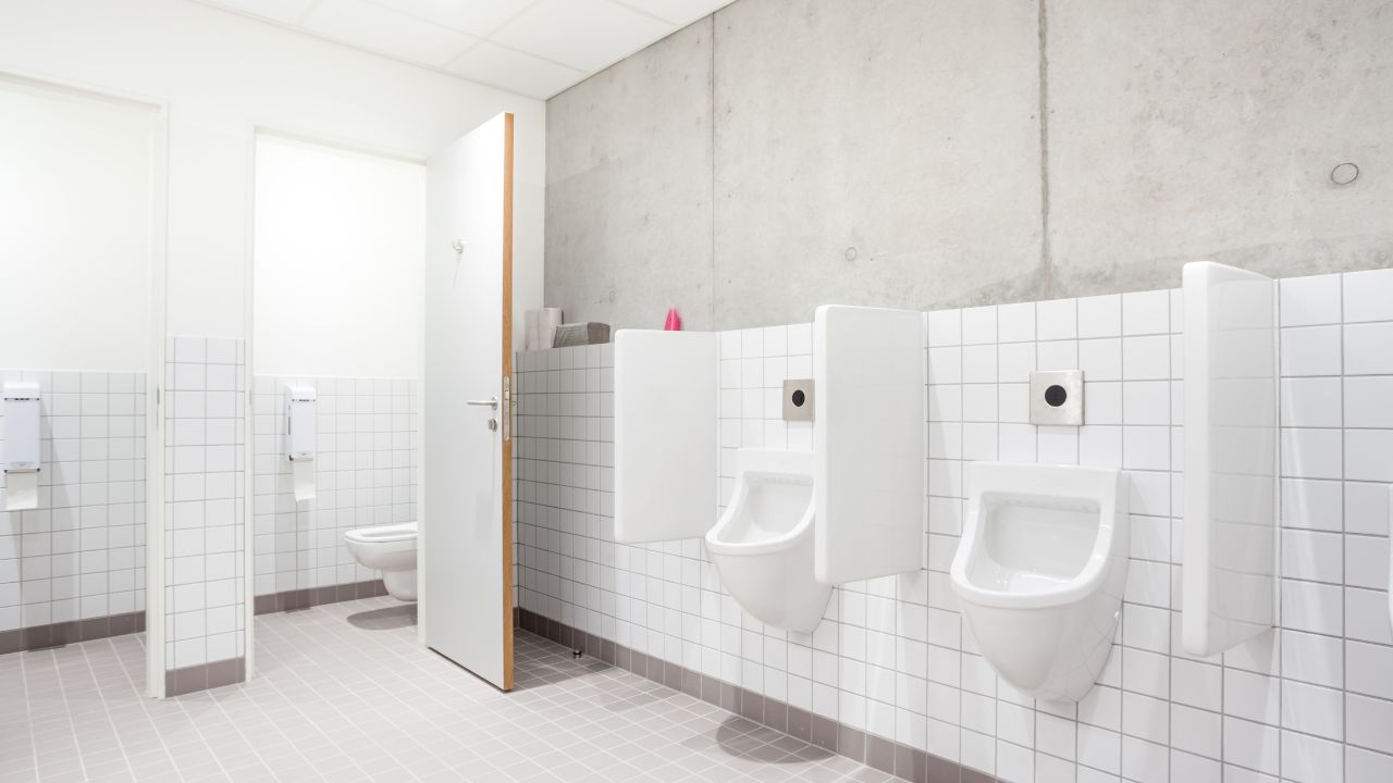 Understanding Urinal Toilets