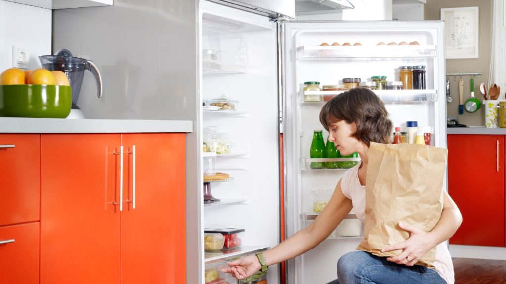 Understanding Your Refrigerator