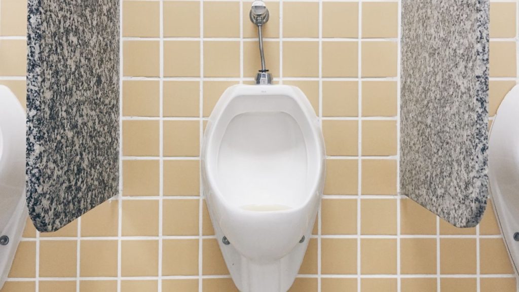 Urinals aren't your run-of-the-mill toilets and are disguised by being wall-mounted