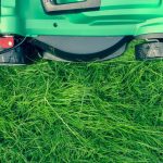 Useful Tips for Maintaining a Lush Green Lawn