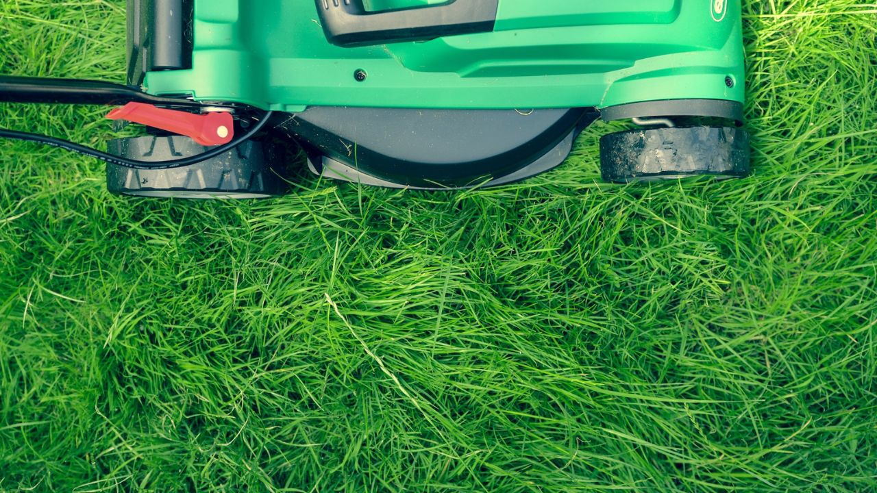 Useful Tips for Maintaining a Lush Green Lawn