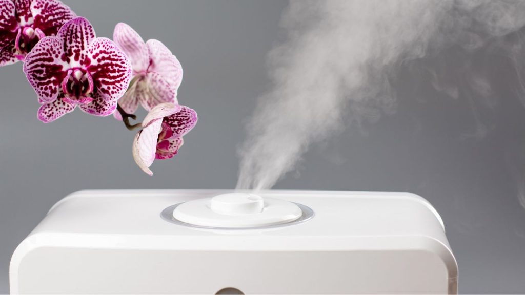 Using too much salt in your humidifier can also lead to damage