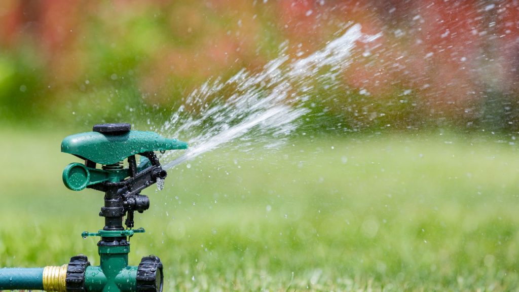 Watering your lawn correctly