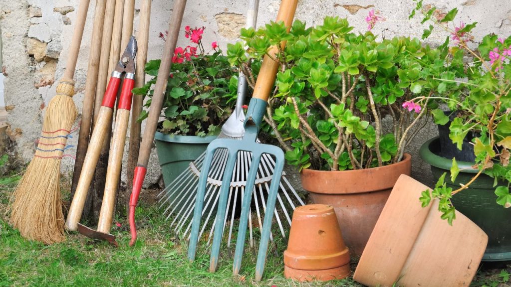 garden Maintenance and Care