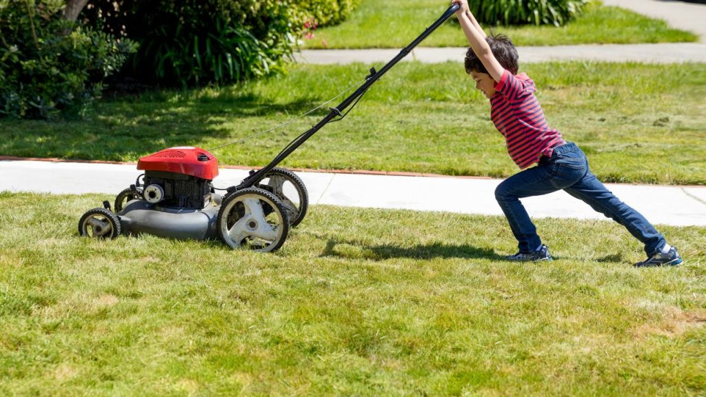 mow your lawn