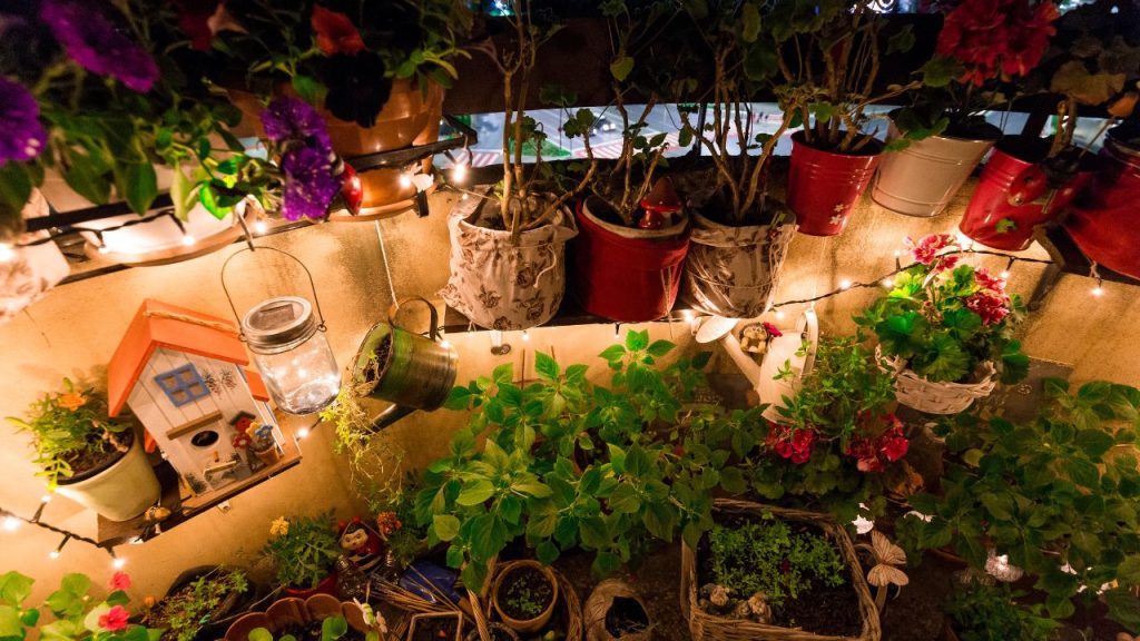 transform your garden into a magical wonderland during the evenings