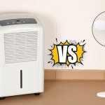 Dehumidifier vs Fan