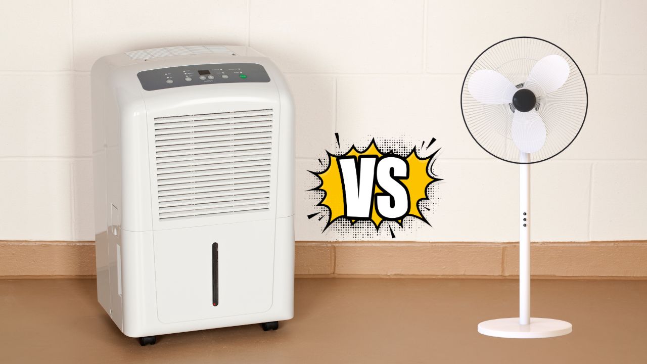Dehumidifier vs Fan