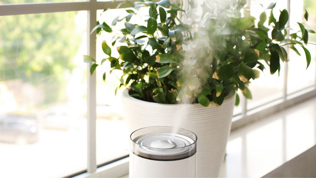 Humidifier Effect on Home Environment