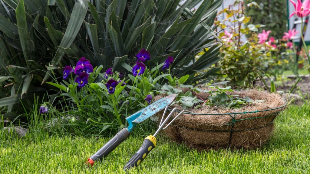 Maintaining your garden and yard
