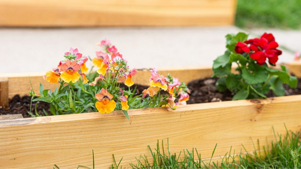 Planters Enhance Aesthetic Appeal
