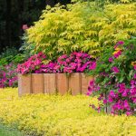 Reasons to Use Planters for Your Landscaping Design