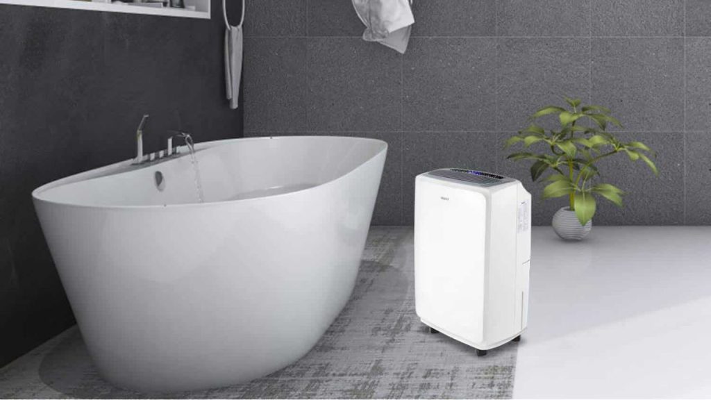 Role and Function of Bathroom Dehumidifier