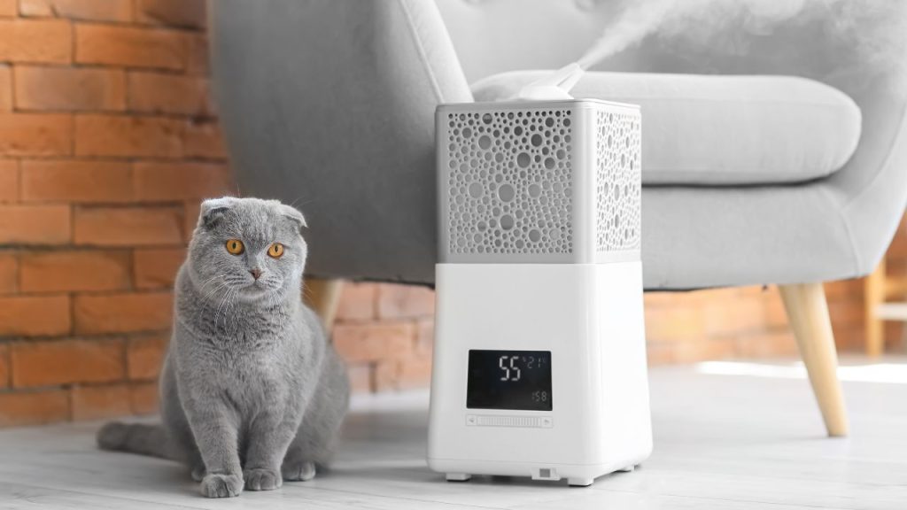 determining which type of humidifier is suitable for a home with pets