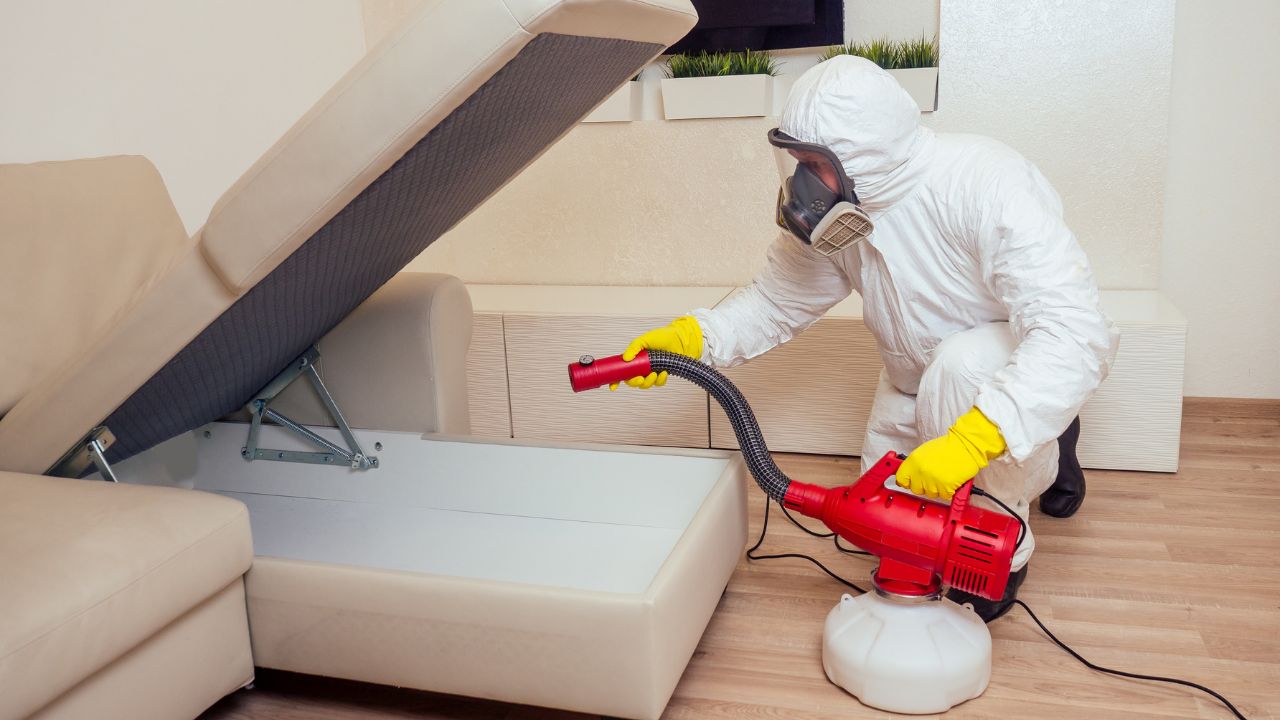 home maintenance to protect their houses against invasive pests