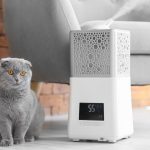 Best Rated Humidifiers for Cats