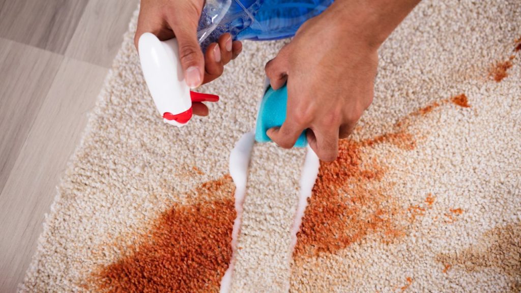 dealing with coffee stains on your carpet